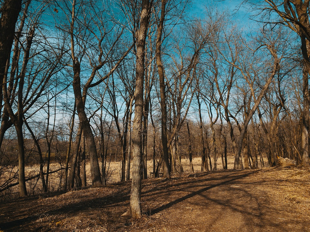 Familie auf Wanderweg