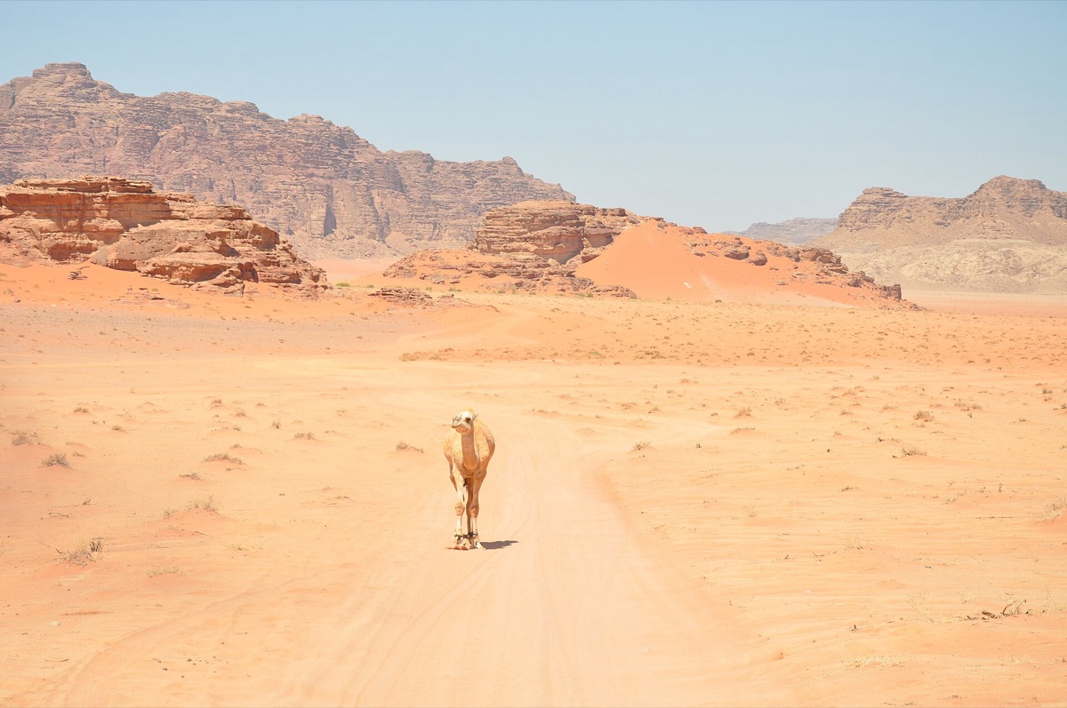 red rock desert landscape