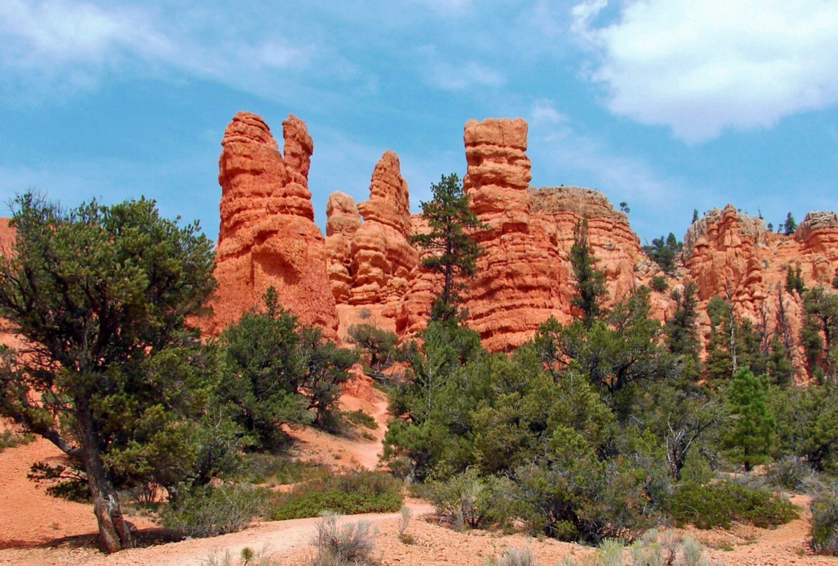 paisaje de desierto con rocas rojas