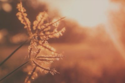 남가주 드라이브의 정수, 사막과 산맥의 극적인 대비 경험