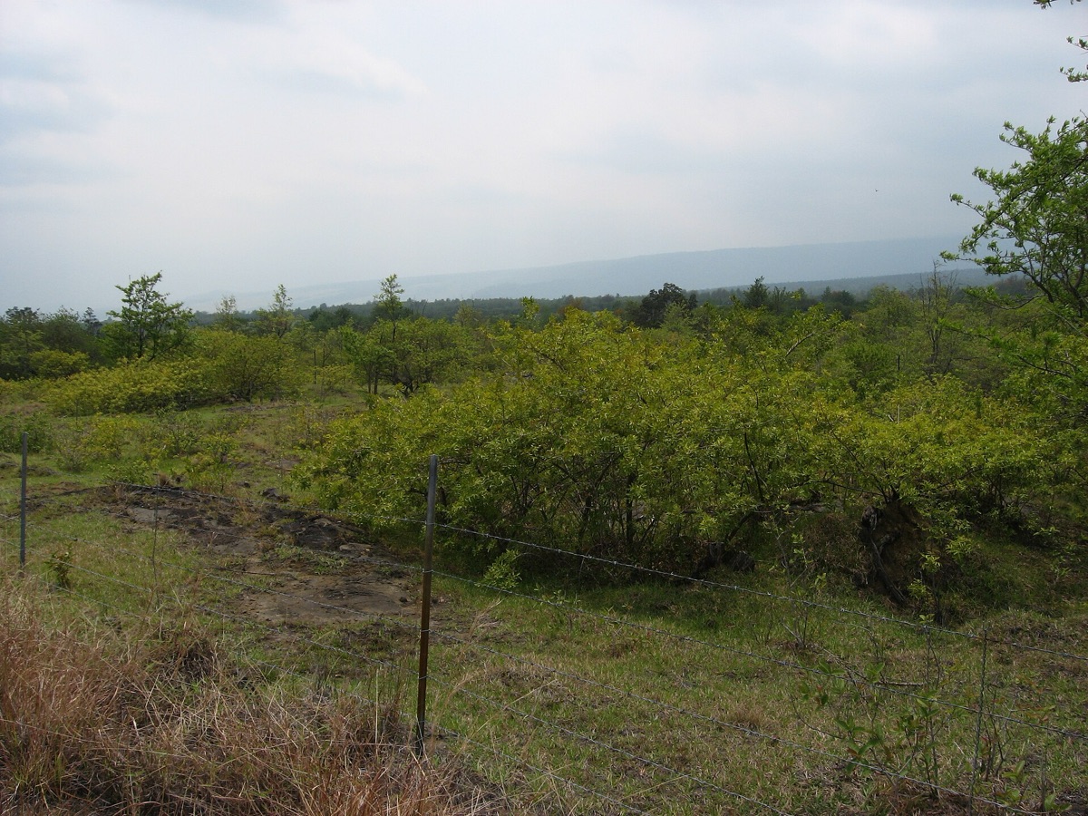 estrada sinuosa através de um paisagem de deserto