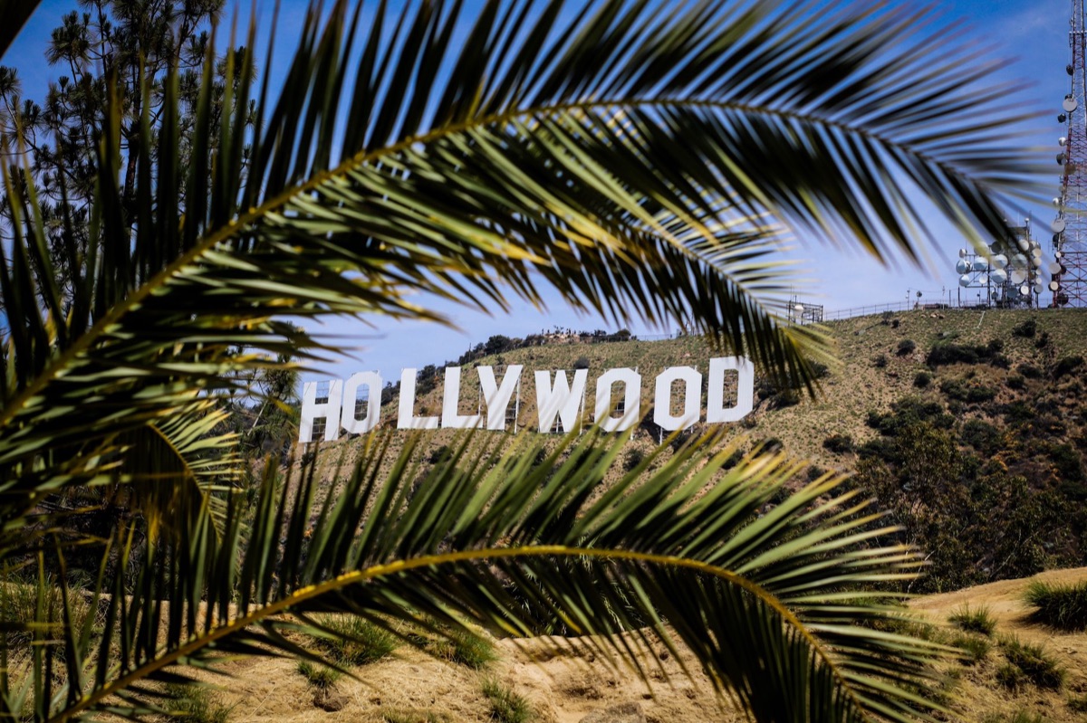 guia local apontando para o sinal de hollywood
